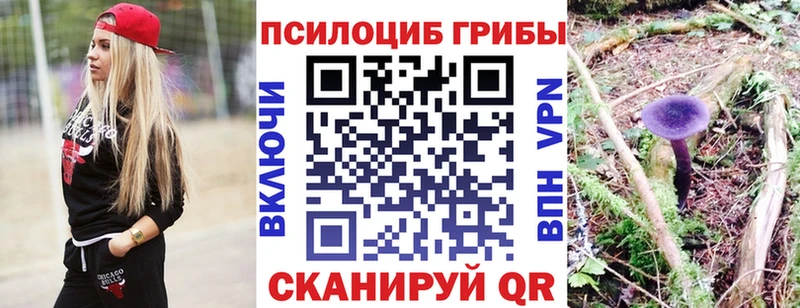 Купить где  Феодосия  Псилоцибиновые грибы прущие грибы 